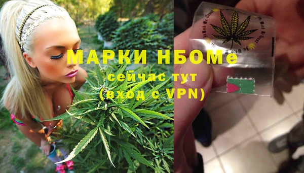 индика Абдулино