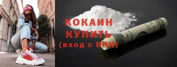 винт Абаза