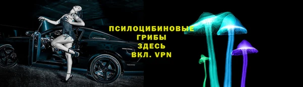 дживик Абинск