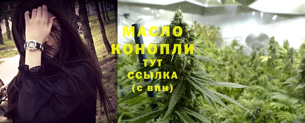 индика Абдулино