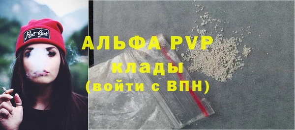 винт Абаза