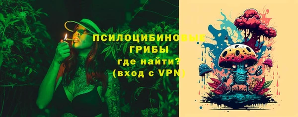 винт Абаза