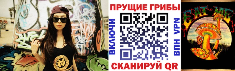 omg сайт  цены наркотик  Кораблино  Псилоцибиновые грибы Psilocybine cubensis 